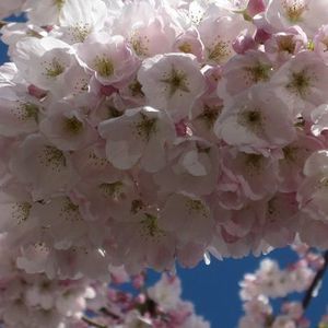 Meet your Posher, Eva